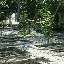 Maldives｜モルディブ　09