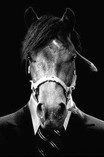 モーリス・レノマ|フラッシュバックコレクション 02