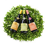 EAT｜ボトリング吟穣茶04