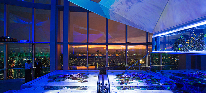 アートアクアリウムの光景 アートアクアリウムの光景