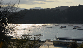 気仙沼便り|11月「漁師を支える気仙沼のシンボル」 05