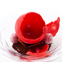 Secrets behind the Success|ハインツ・ベック 06