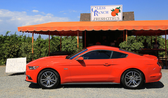 Ford Mustang GT｜フォード マスタング GT