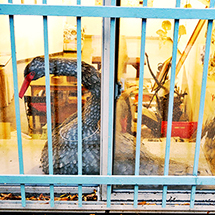 ウエスト・クイーン・ウエスト 8