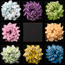 KAZARO｜ポケットチーフ