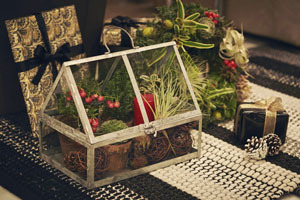 カッシーナ・イクスシー|クリスマスインスタレーション