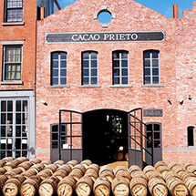 kiji_cacao-prieto-05