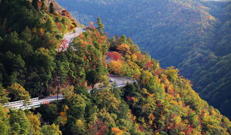 RALLY NIPPON 2014|ラリーニッポン 2014