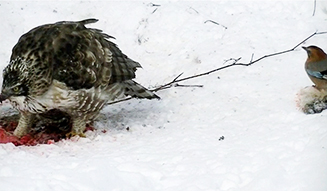 ART|新作インスタレーションが『第7回恵比寿映像祭』に出展