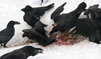 ART|新作インスタレーションが『第7回恵比寿映像祭』に出展