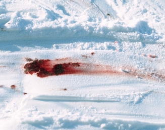 ART|新作インスタレーションが『第7回恵比寿映像祭』に出展