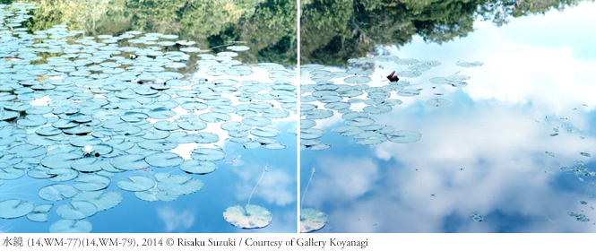 INTERVIEW|特別対談 鈴木理策 × 加瀬亮「写真を見ることの喜び」