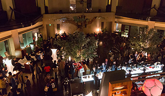 PARK NIGHT 2015: METEORITES