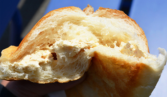 連載｜気仙沼便り