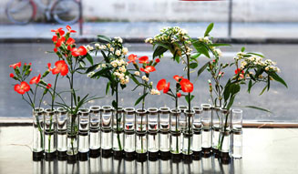 場と間|クリスマス