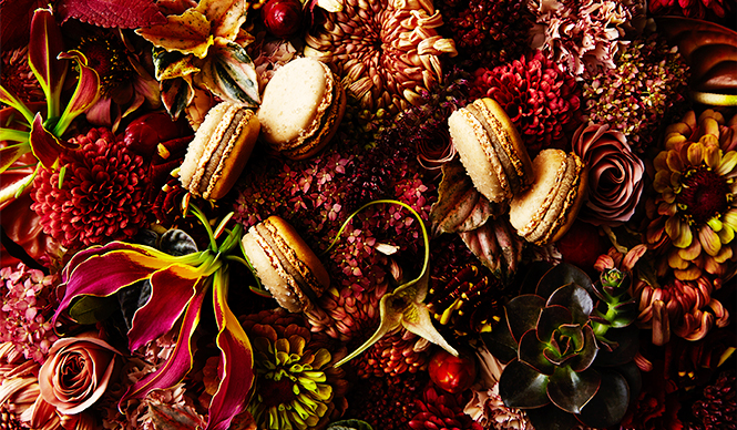 2015年ジャルダンシリーズ|EAT