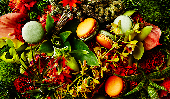 2015年ジャルダンシリーズ|EAT