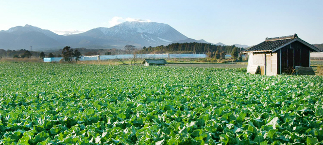 特集|「分とく山」の野﨑洋光が見据える、鳥取の食材の大いなる可能性