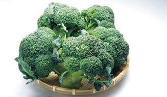 特集|「分とく山」の野﨑洋光が見据える、鳥取の食材の大いなる可能性