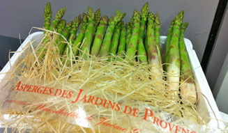 ベージュ アラン・デュカス 東京｜コレクション・ベージュ