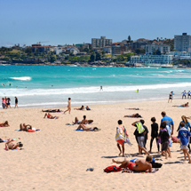 特集｜美食大陸オーストラリア、美食とワインをめぐる旅へ｜ニューサウスウェールズ州　シドニー