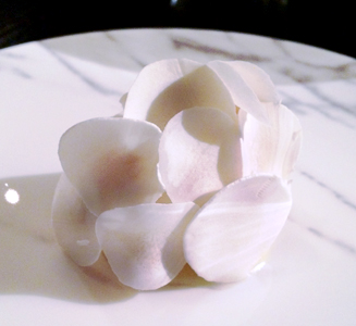 特集｜美食大陸オーストラリア、美食とワインをめぐる旅へ｜ニューサウスウェールズ州　シドニー