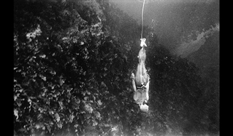 KYOTOGRAPHIE 京都国際写真祭