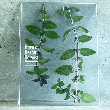 Have a Herbal Harvest|EAT