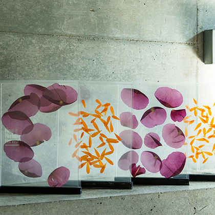 Have a Herbal Harvest|EAT