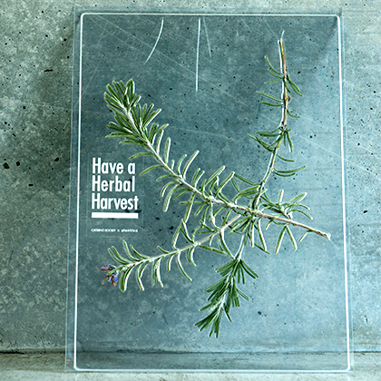 Have a Herbal Harvest|EAT