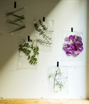 Have a Herbal Harvest|EAT