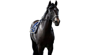 リヤドロ｜ディープインパクト