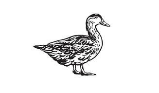 ブノワ|アラン・デュカス