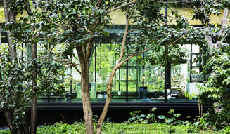 THE CAFE BY AMAN|AMAN TOKYO