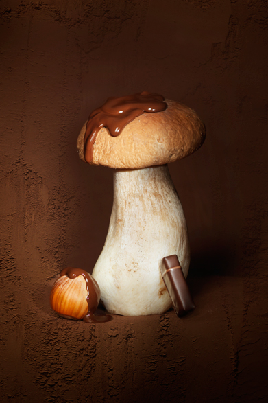 INTERVIEW|ニコラ・クロワゾーが切り開く、チョコレートのあらたな境地