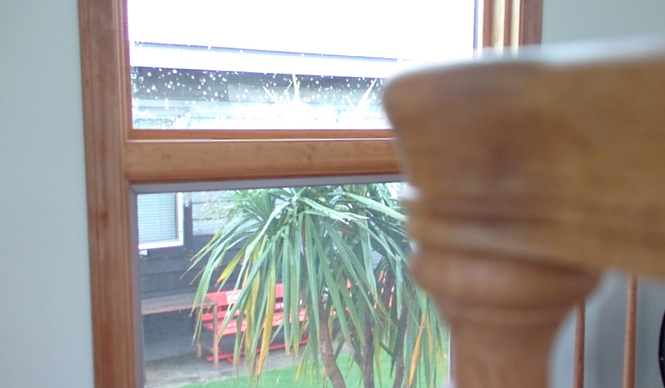 「LYTRO デスクトップ」でピント調整