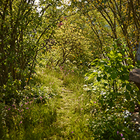 Laurent-Perrier|ローラン・ペリエ