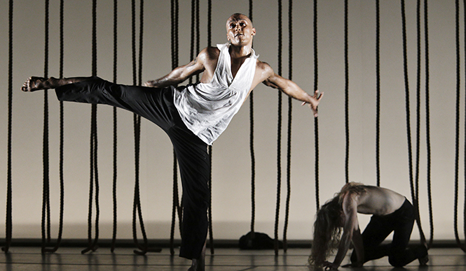 Tero Saarinen Company|テロ・サーリネン・カンパニー