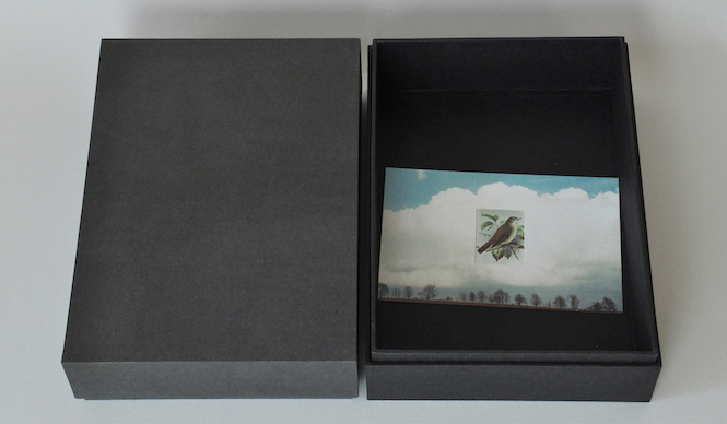 PAPIER LABO.|パピエラボ 馬渕別注貼り箱