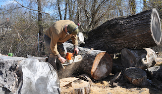 CURATOR’S CUBE|キュレーターズ キューブ 「George Peterson Circle Factory」