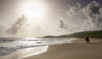 アマン｜アマネラ