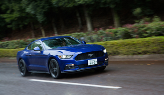 Ford Mustang 50 Years Edition|フォード マスタング 50 イヤーズ エディション
