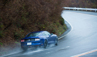 Ford Mustang 50 Years Edition|フォード マスタング 50 イヤーズ エディション