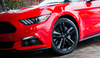 Ford Mustang 50 Years Edition|フォード マスタング 50 イヤーズ エディション