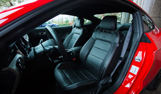 Ford Mustang 50 Years Edition|フォード マスタング 50 イヤーズ エディション