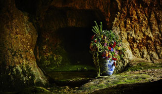 花樹研究所|東信