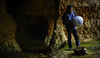 花樹研究所|東信