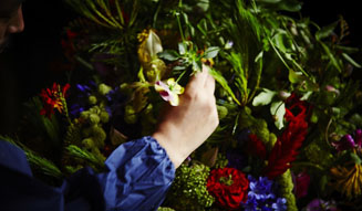 花樹研究所|東信