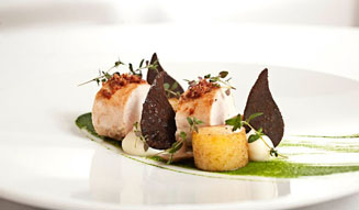 ニコライ・バーグマン｜アマンダ・バーグマン