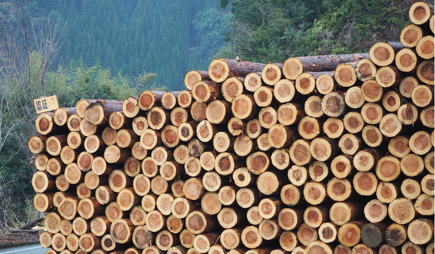 more trees|隈研吾デザイン「つみき」